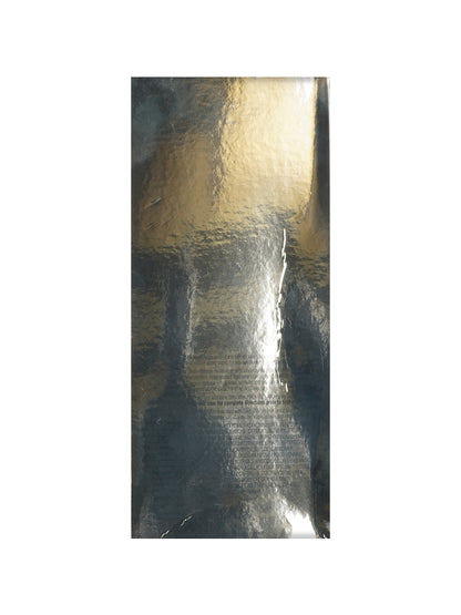 Elizabeth Arden Prevage Anti Aging Moisture Lotion SPF 30 1.7 OZ