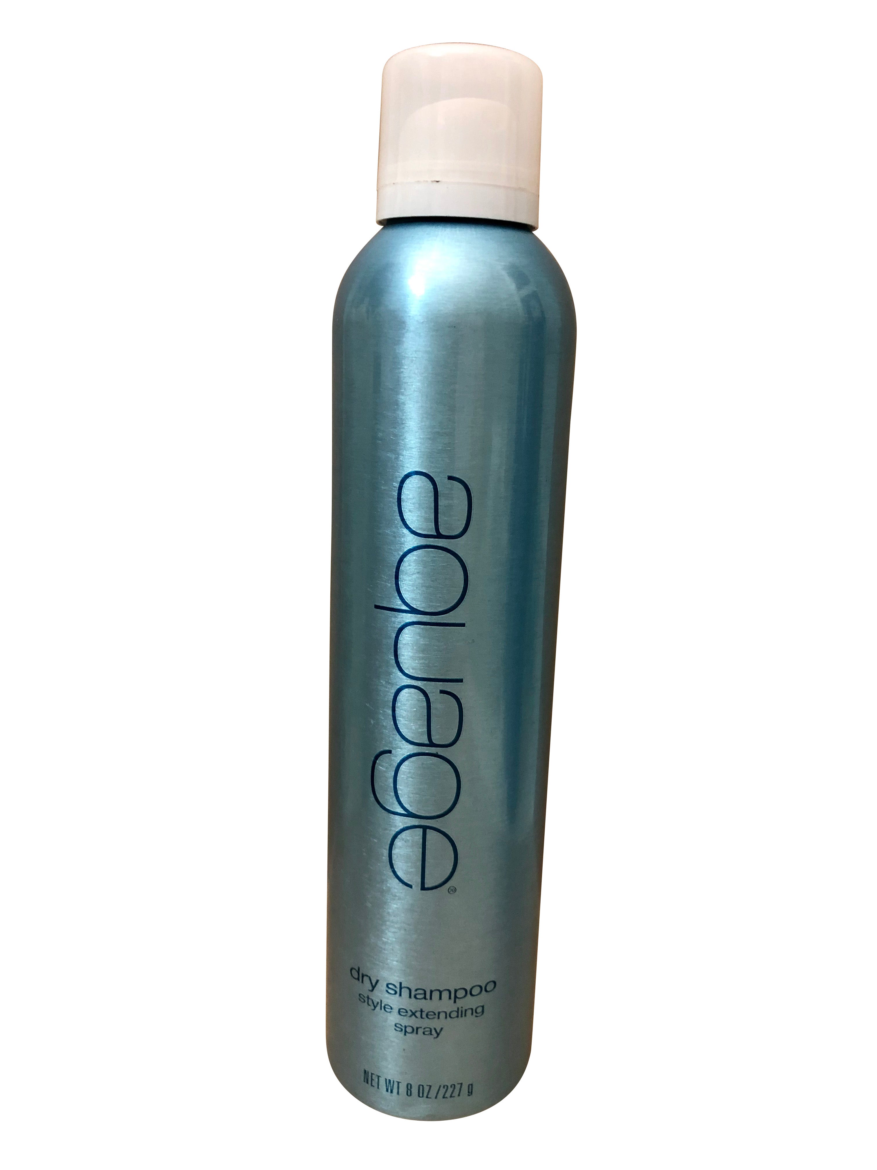 Aquage Seaextend Dry Shampoo Style Extending Spray 8 OZ